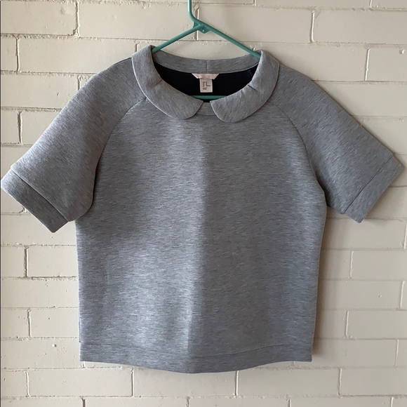 H&M Tops - H&M gray short sleeve sweatshirt Peter Pan collar